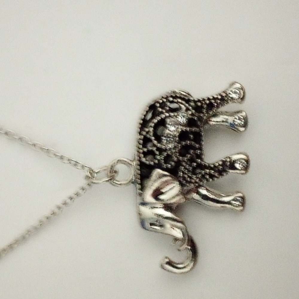 Jewelry necklace